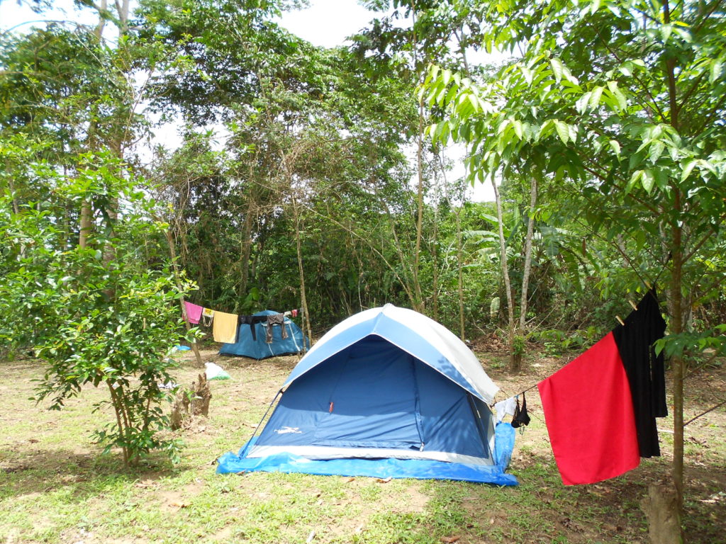 Meu cafofo na floresta