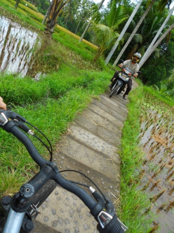 Os caminhos pelas plantações de arroz