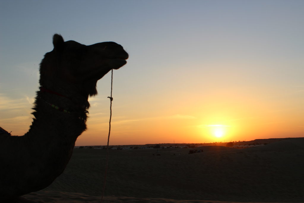 Deserto Jaisalmer