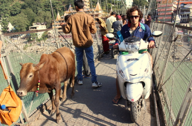 A ponte Laxman Jhula