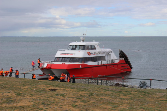 Catamarã Fiordos del Sur