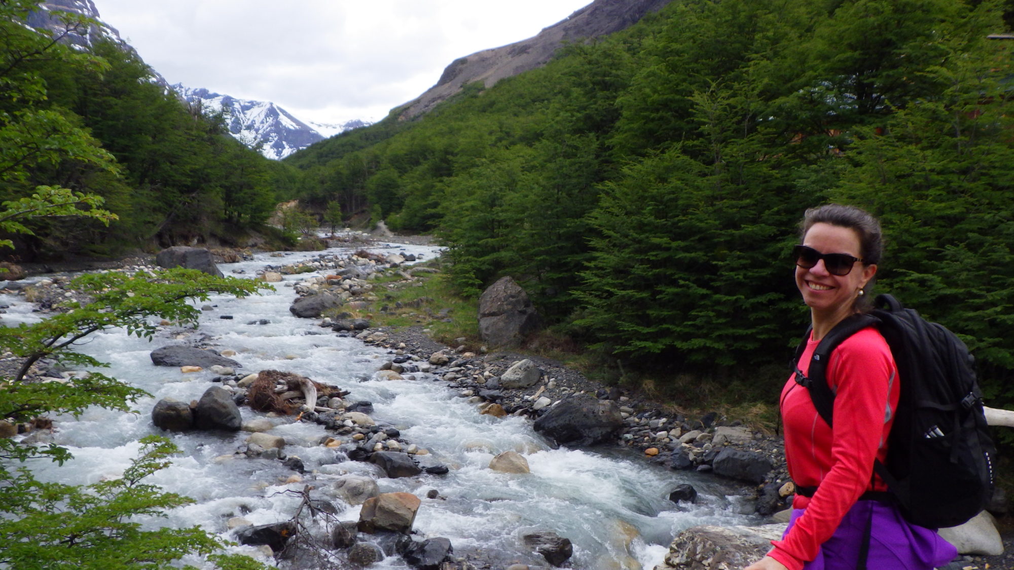 Torres del Paine