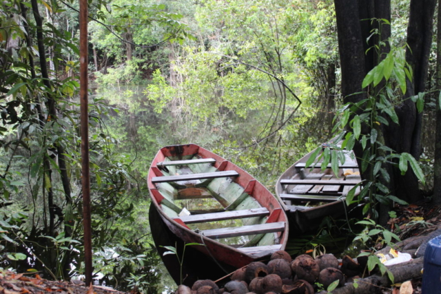 Canoas amazônicas