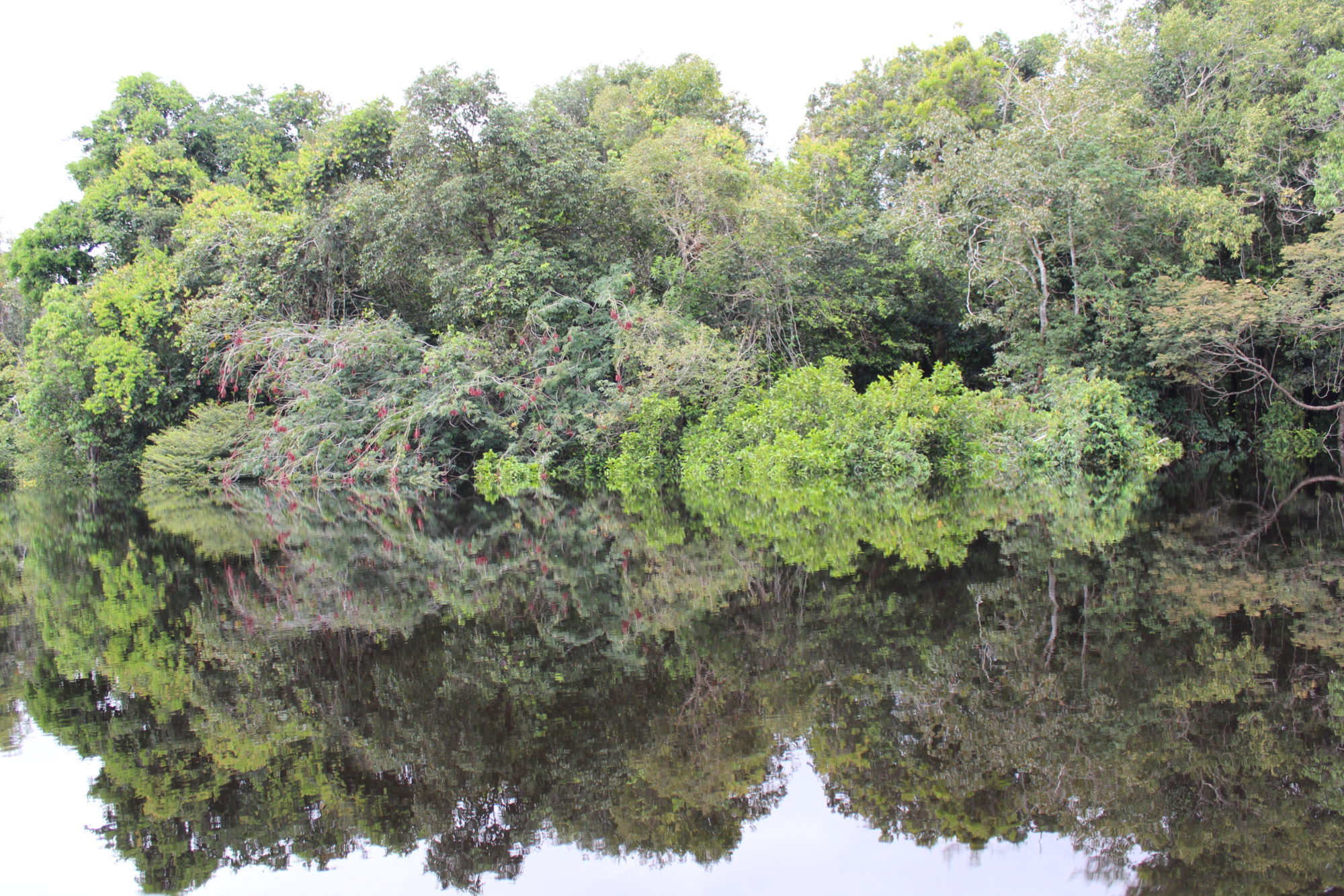 Nave espacial amazônica